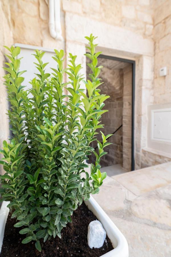 Piccola Pietra Bianca Hotel Giovinazzo Luaran gambar